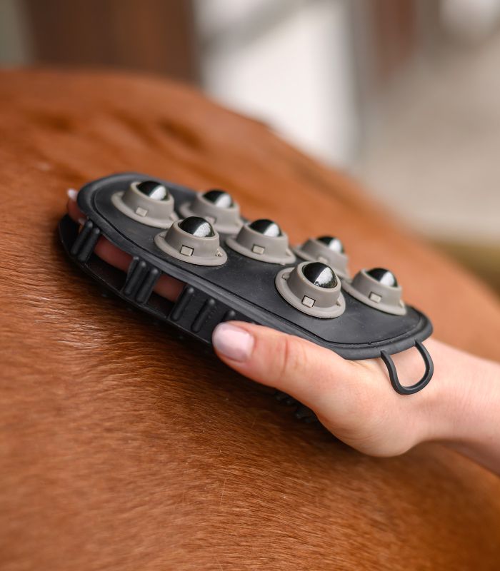 Massagebürste