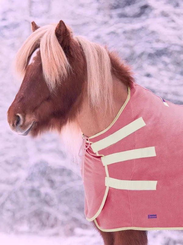 Sportsfreund Studios Basic Abschwitzdecke Marmelade Butter