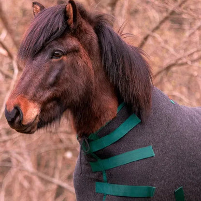 Sportsfreund Abschwitzdecke Wolle Anthrazit/Smaragd