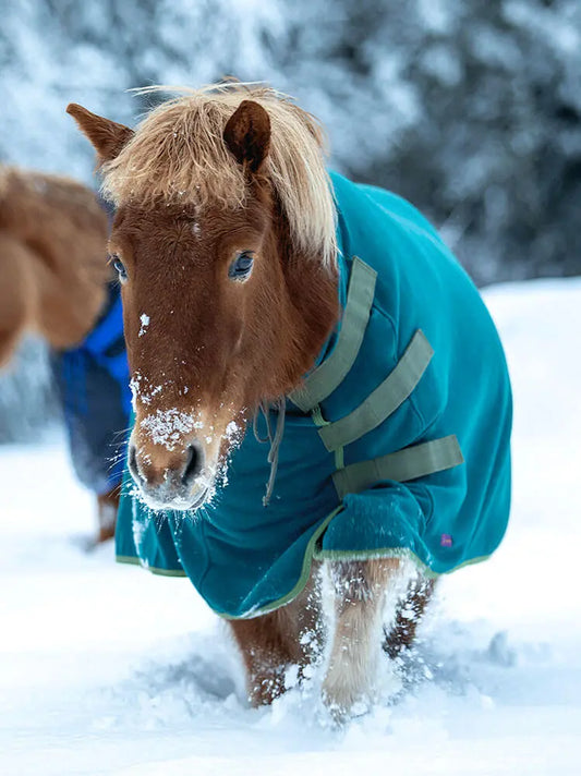 Sportsfreund Studios Basic Abschwitzdecke Bergsee Schilf