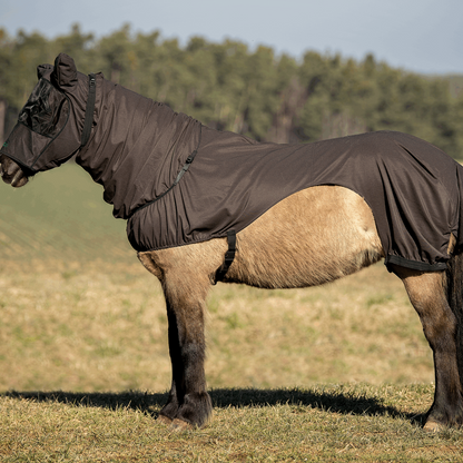 Pferdedecke
