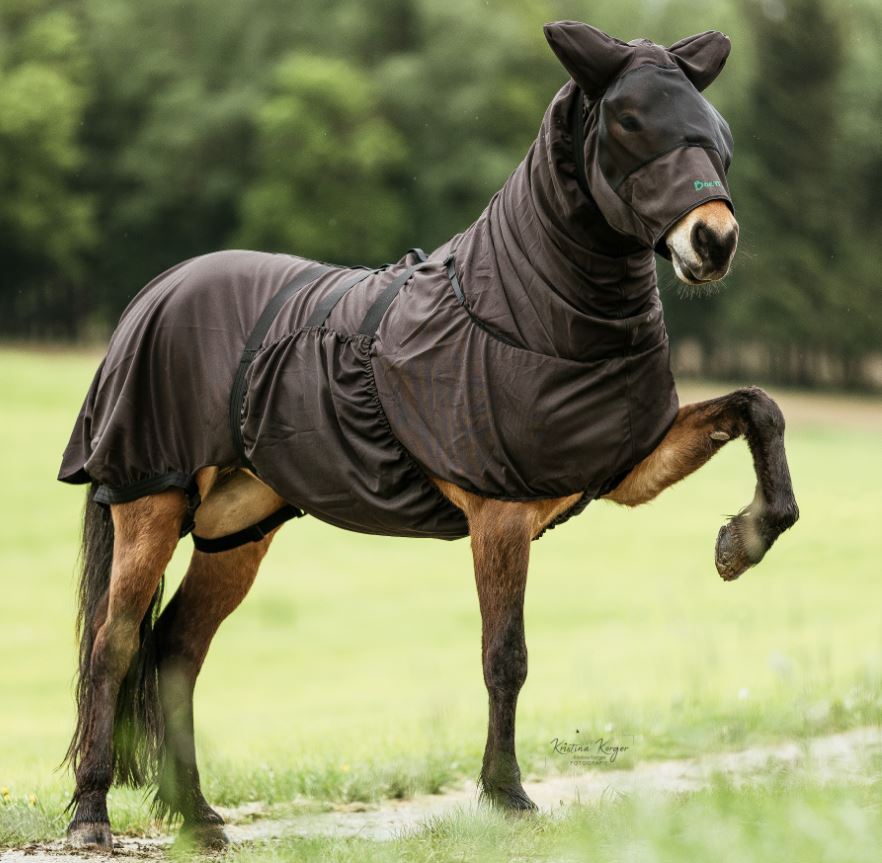 Boett Kopfhaube Dunkelbraun