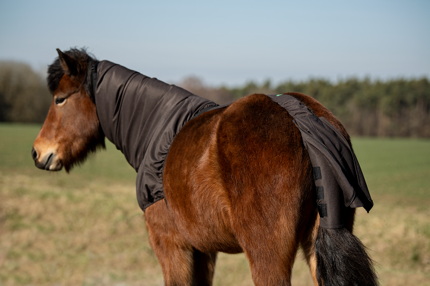 Boett Top & Tail Halsteil Dunkelbraun