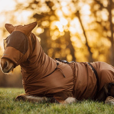 Boett Ekzemerdecke Fuchsbraun