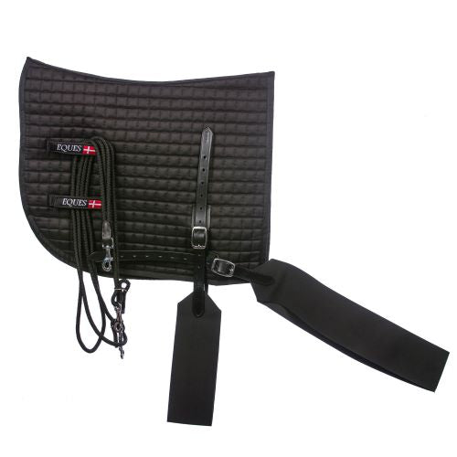 Core Trainer Longiersystem