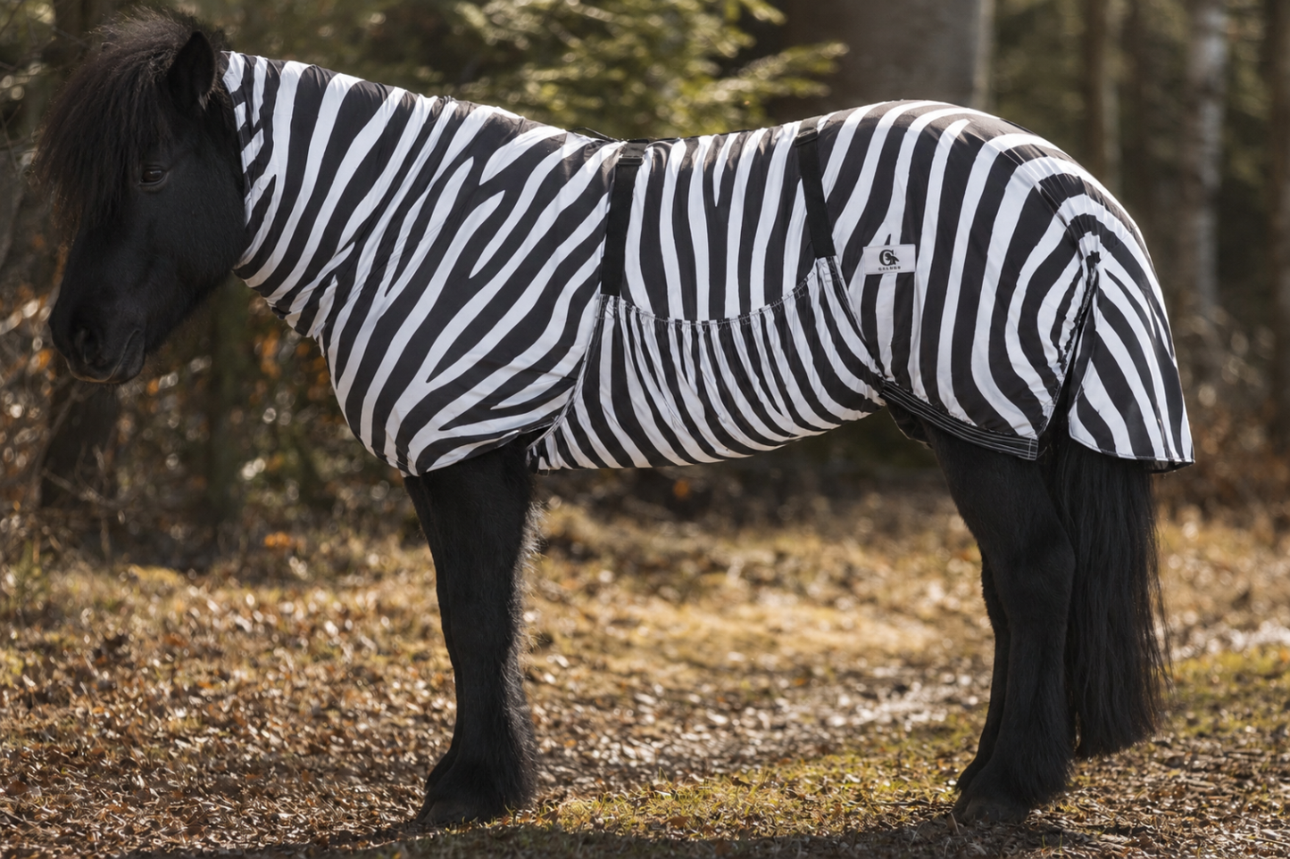 Ekzemerdecke Zebra Galdur mit Euterschutz