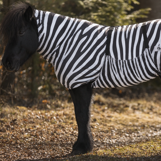 Ekzemerdecke Zebra Galdur mit Euterschutz