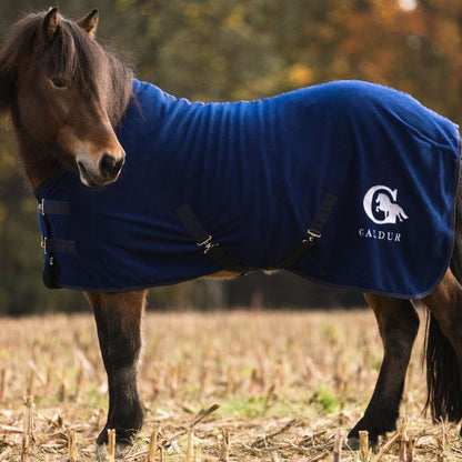 Abschwitzdecke Fjalli