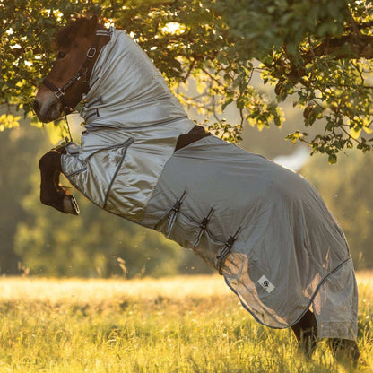 Ekzemer- und Fliegendecke Galdur