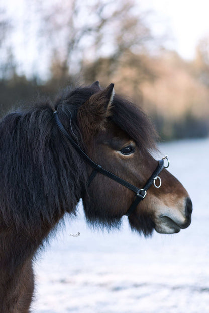 Lederkappzaum Soft Galdur