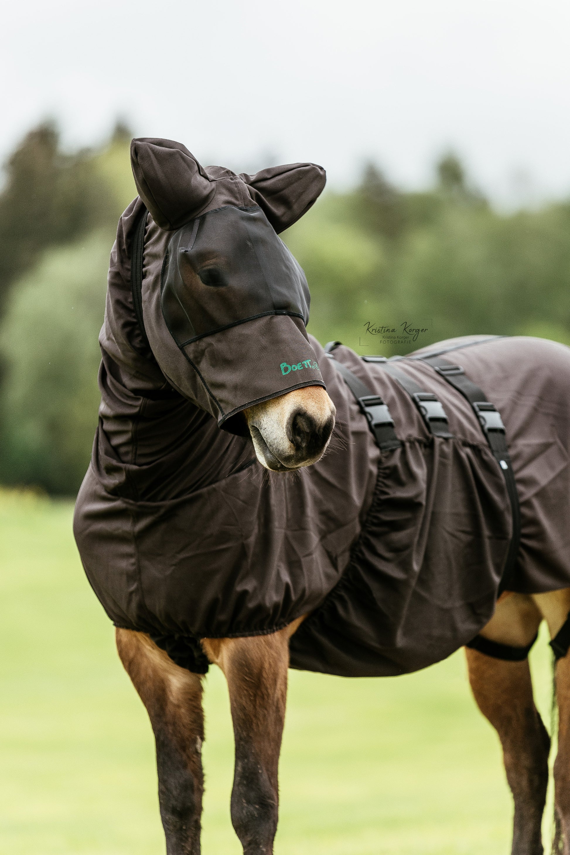 Kopfhaube für Pferde