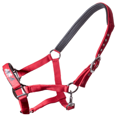 Halfter mit Töltern