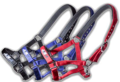 Halfter mit Töltern