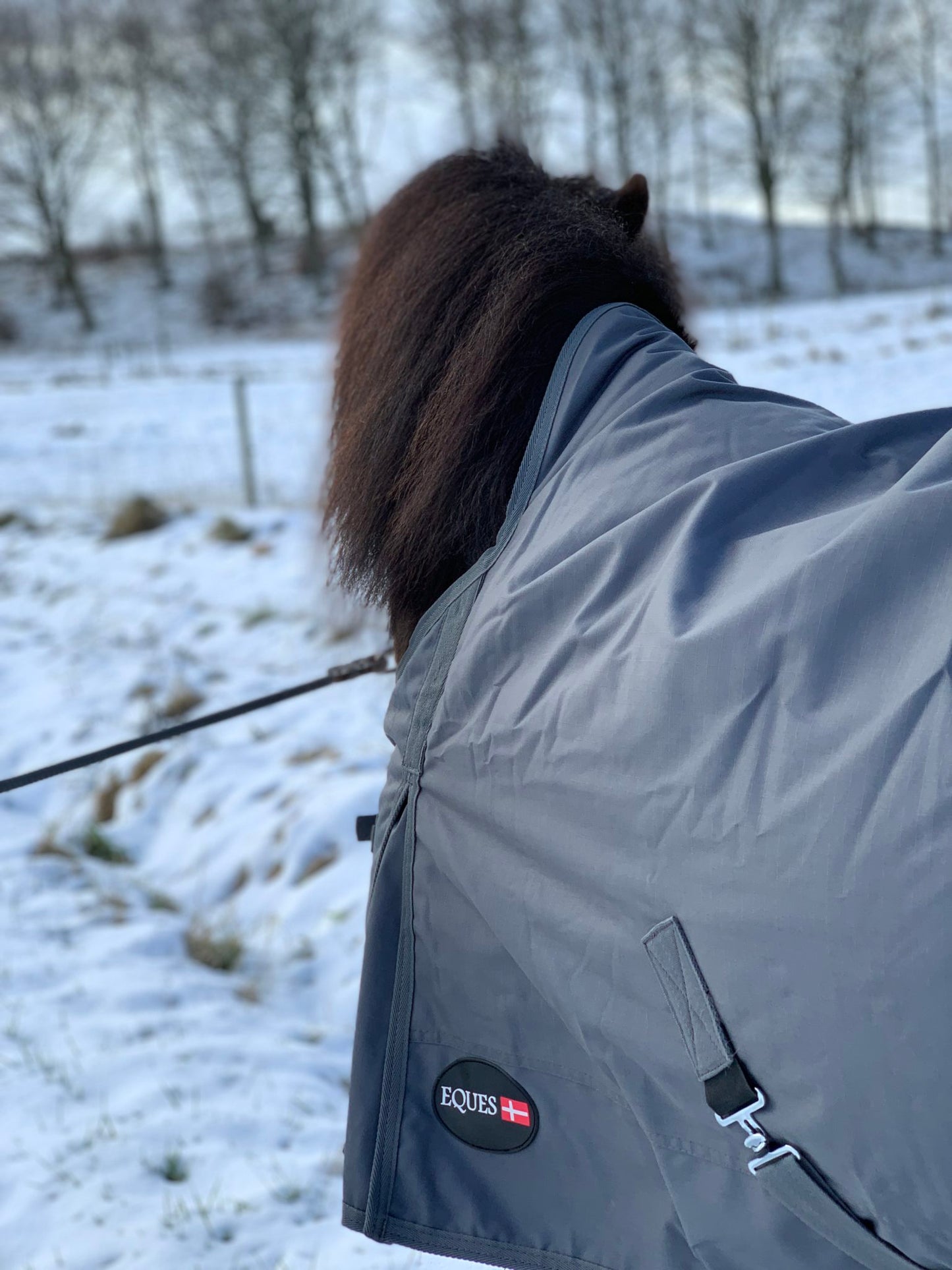 Eques Regendecke mit Füllung