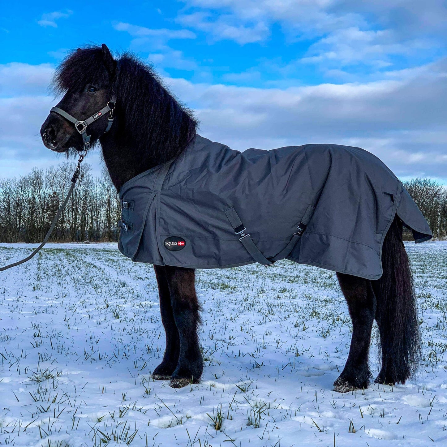 Eques Regendecke mit Füllung