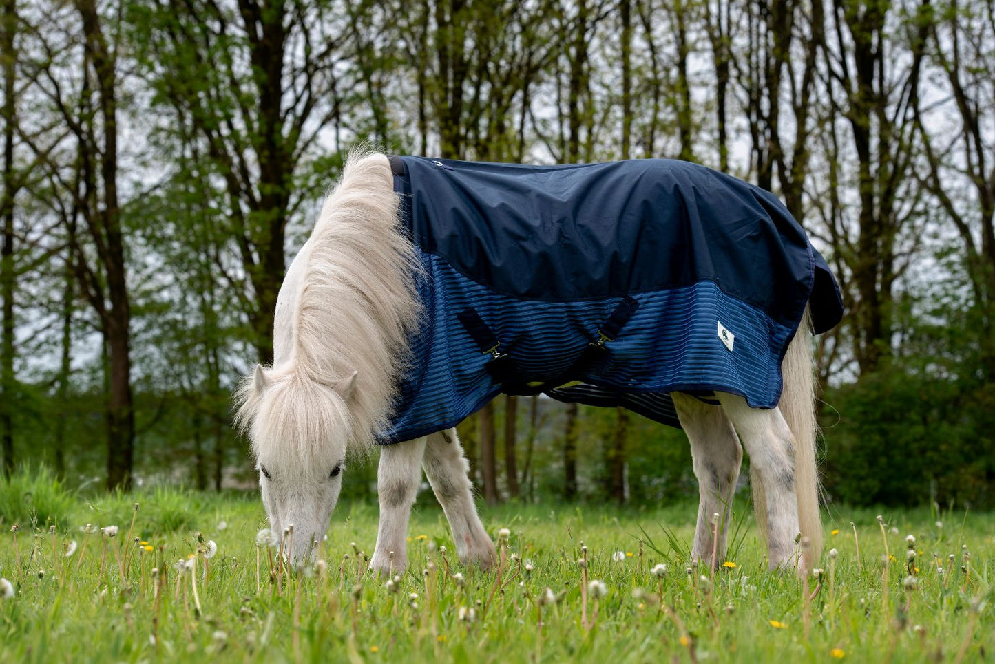 Galdur Fliegen Regendecke