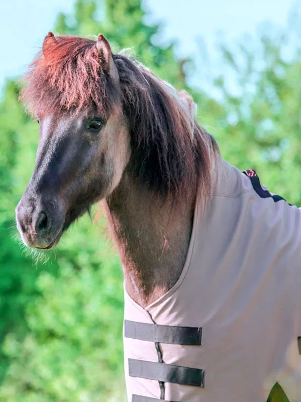 Sportsfreund Regendecke Softshell Seehund/Lava