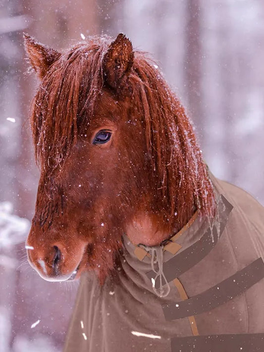 Sportsfreund Studios Basic Abschwitzdecke Nougat Mandel