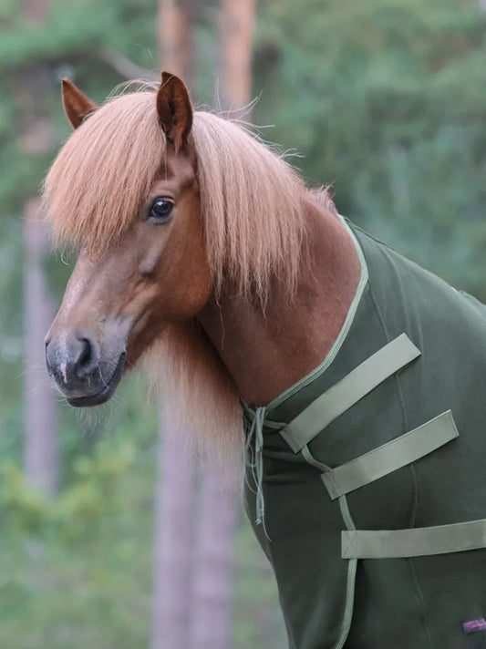 Sportsfreund Studios Basic Abschwitzdecke Fichte Moos