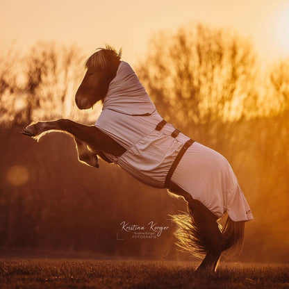 Boett Ekzemerdecke Hellgrau