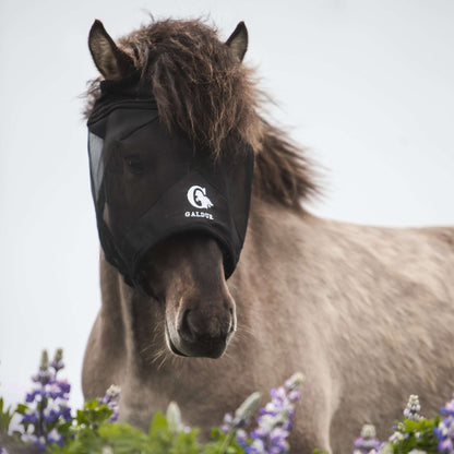 Fliegenmaske ohne Ohren